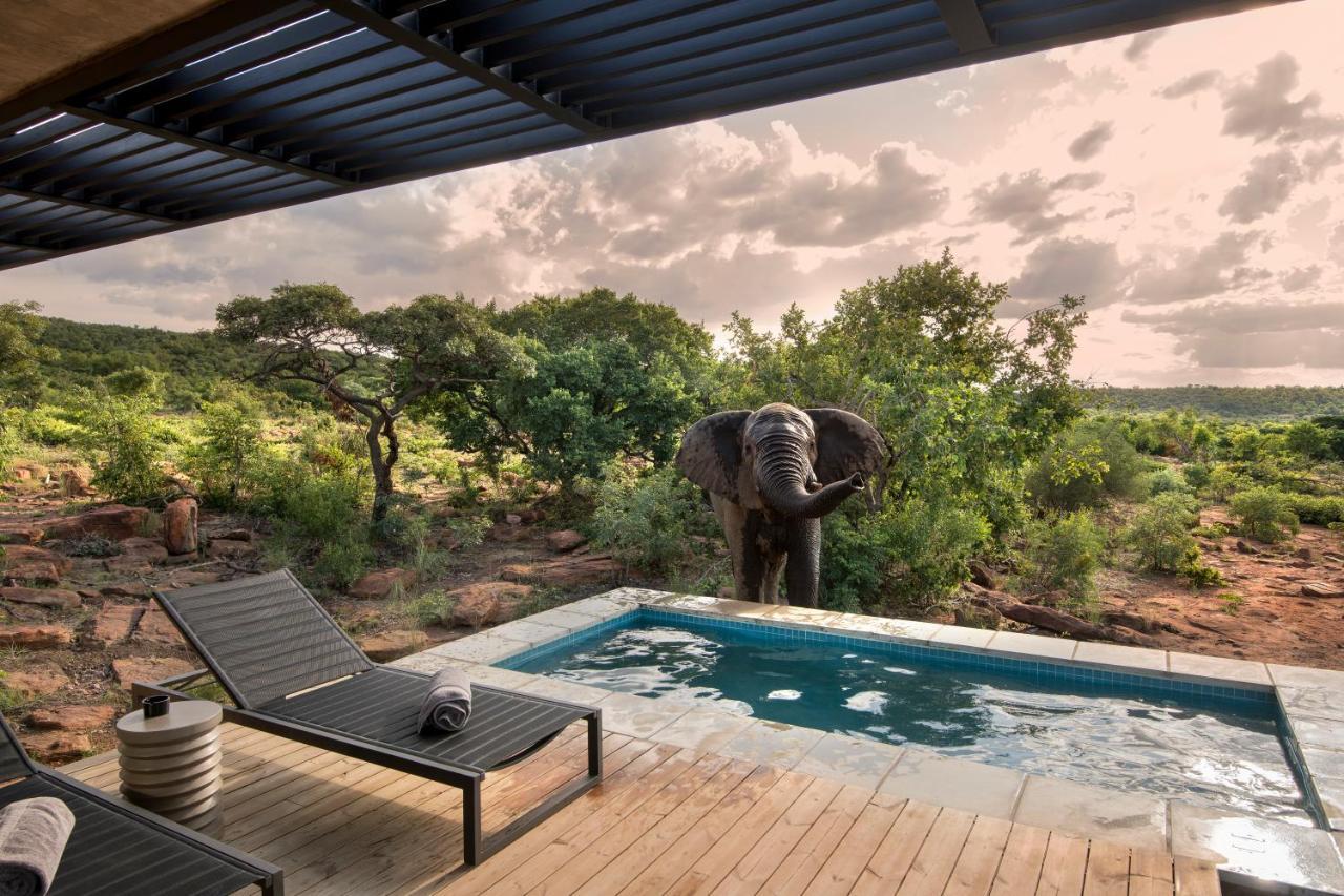 57 Waterberg Villa Welgevonden viltreservat Exteriör bild