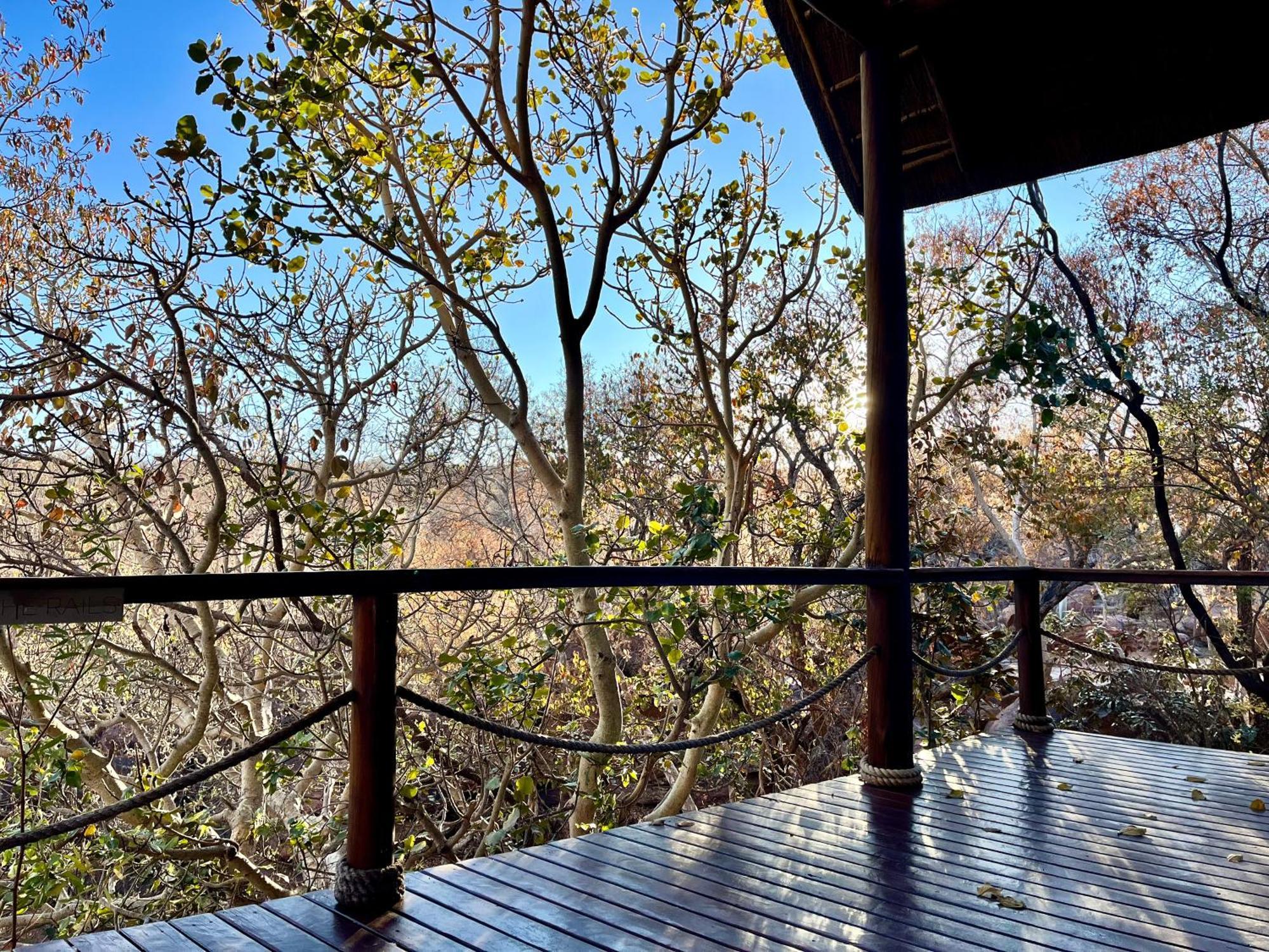 57 Waterberg Villa Welgevonden viltreservat Exteriör bild